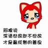 养宠物的小知识